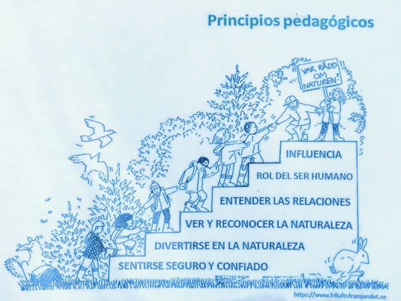 Escalera de principios pedagógicos de la educación en la naturaleza