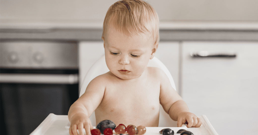 BLW, alimentación del bebé y alergias